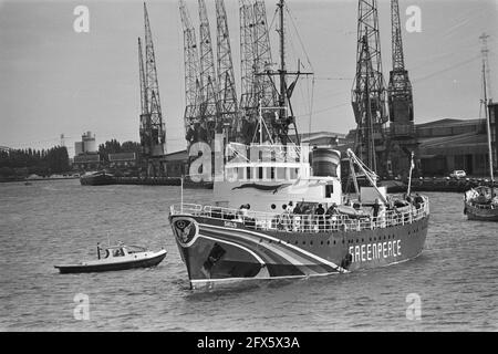 La nave d'azione Greenpeace Sirius ha lasciato Amsterdam a causa di pratiche di dumping nell'Oceano Atlantico (navigazione a vela), 23 agosto 1982, porti, navi, I Paesi Bassi, foto agenzia stampa del XX secolo, notizie da ricordare, documentario, fotografia storica 1945-1990, storie visive, Storia umana del XX secolo, che cattura momenti nel tempo Foto Stock