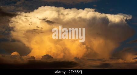 Spettacolare nube di cumulonimbus al sole sul deserto di sonora vicino Tucson, Arizona Foto Stock