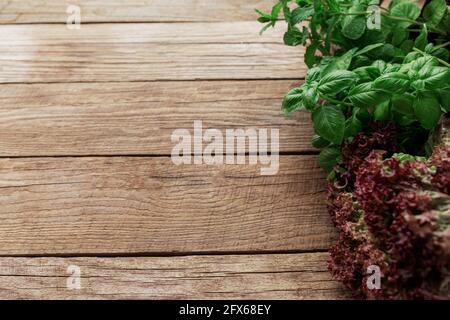 Concetto di giardinaggio e di alimentazione sana con erbe e insalata diverse foglie su sfondo di legno