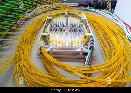 Collegamento a fibre ottiche, vassoio di raccolta delle spezie in un telaio di distribuzione ottica di sistemi di telecomunicazione Foto Stock