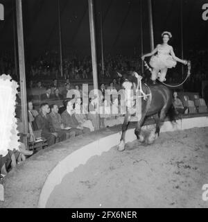 Circus Mikkenie in Turnhout Belgio, 13 luglio 1951, circuses, Paesi Bassi, foto agenzia stampa del xx secolo, notizie da ricordare, documentario, fotografia storica 1945-1990, storie visive, Storia umana del XX secolo, che cattura momenti nel tempo Foto Stock