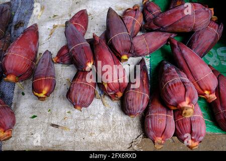 Sri Lanka - Kandy mercato Banana albero fiorito Foto Stock