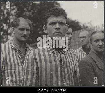 Nel campo penale di Vught, dove i tedeschi e i loro complici hanno tentato invano per anni di rompere il potere del popolo olandese, circa 7000 collaboratori e traditori olandesi sono ora rinchiusi. I soldati dello Stoottroepen olandese sono responsabili della sorveglianza, in particolare dei 300 uomini della S.S. olandese, che hanno messo sul tesoro del soldato tedesco. Sotto la guida del comandante del campo, il maggiore L. Mennes e i suoi aiutanti, questi prigionieri sono utilizzati per liberare l'area intorno a Vught di mine terrestri, tra le altre cose. Erano vestiti in tute a strisce blu e bianche, le stesse tute Foto Stock