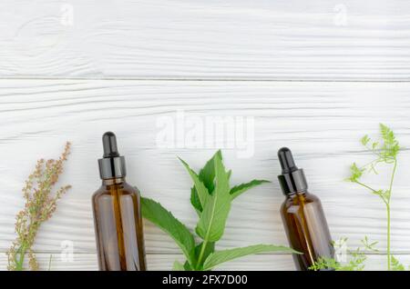 Erbe e una bottiglia di vetro scuro su uno sfondo di legno chiaro con un posto per il testo. Disposizione piatta, vista dall'alto, spazio per la copia. Cura della pelle e trattamento di bellezza conce Foto Stock