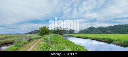 Vista lungo il sentiero delle paludi nella zona comune della città di molte cime escursione a Mount Marlow, Townsville Town Common Queensland, Australia. Foto Stock