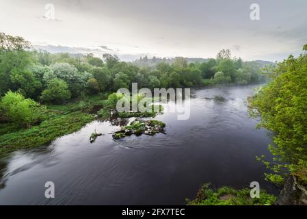 Una meravigliosa, magica mattina di primavera vicino al fiume Dubysa in Lituania. Gli alberi di Eve sono in fiore. Foto Stock