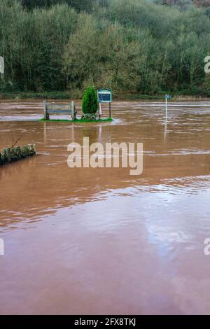 Il fiume Wye in spate a Brockweir. Foto Stock