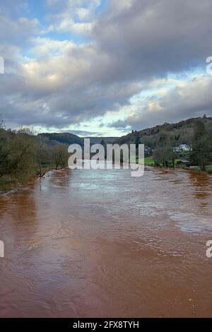 Il fiume Wye in spate a Brockweir. Foto Stock