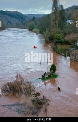 Il fiume Wye in spate a Brockweir. Foto Stock