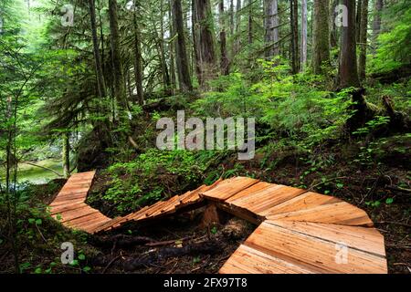 Passerella a Fairy Creek vicino a Port Renfrew, Vancouver Island, BC Canada Foto Stock