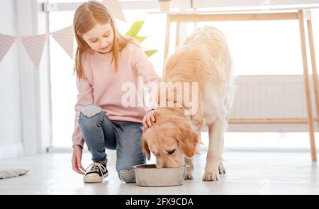 La bambina alimenta il cane Golden Retriever Foto Stock