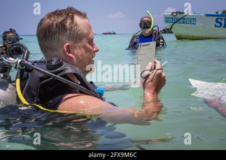 Panglao, Filippine - 29 aprile 2021: Subacqueo in acque confinate insegnare, studiare, valutare le competenze Foto Stock