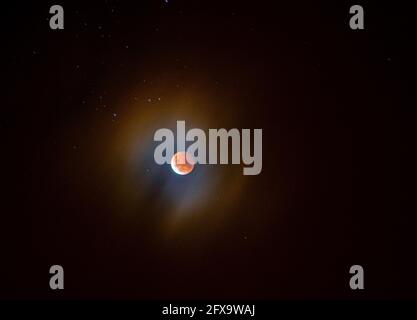 Wellington. 26 Maggio 2021. Una luna di sangue è visto nell'Isola del Sud della Nuova Zelanda, 26 maggio 2021. Credit: Yang Liu/Xinhua/Alamy Live News Foto Stock