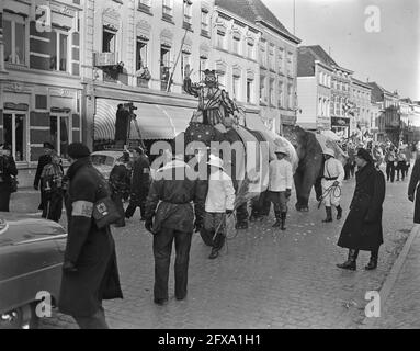 Carnival Oeteldonk Den Bosch e Bergen op Zoom, 12 febbraio 1956, CARNAVAL, Paesi Bassi, foto agenzia stampa del xx secolo, notizie da ricordare, documentario, fotografia storica 1945-1990, storie visive, Storia umana del XX secolo, che cattura momenti nel tempo Foto Stock