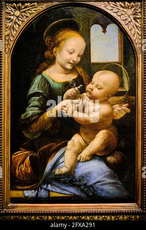 Russia, San Pietroburgo, Museo dell'Ermitage di Stato, Leonardo da Vinci, la Vergine col Bambino conosciuta come Madonna Benois Foto Stock