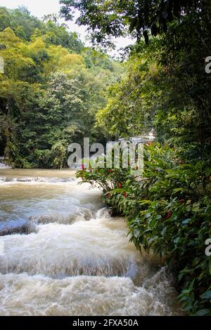 Le cascate del fiume Dunns in Giamaica nel fiume Dunn Falls Park Foto Stock