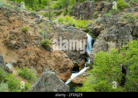 Questo è uno dei miei punti preferiti "fuori dai sentieri battuti". Si trova nella Contea di Shasta, California, USA, un po' a nord del fiume Pit Foto Stock