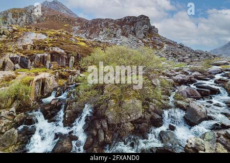 Parte superiore delle cascate di Ogwen dal Pont Pen-y-Benblog Bridge, Llyn Ogwen, Snowdonia National Park, Galles. Foto Stock
