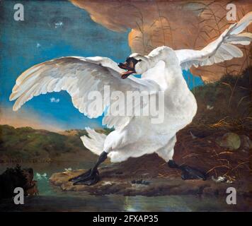 Il cigno minacciato da Jan Asselijn ( (c.1610-1652), olio su tela, c.. 1650 Foto Stock