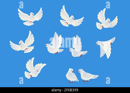 Colombe bianche. Bella pigeons fede e simbolo d'amore. Stile cartone animato. Isolato su sfondo blu. Illustrazione vettoriale. Illustrazione Vettoriale