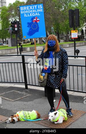 Londra, Regno Unito. 26 Maggio 2021. I manifestanti al di fuori della commissione Dominic Cummings sono presenti a Whitehall. Credit: JOHNNY ARMSTEAD/Alamy Live News Foto Stock