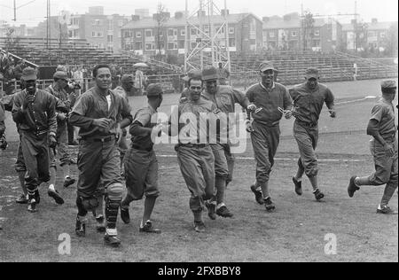 Settimana internazionale di baseball Haarlem, Paesi Bassi contro le Antille, Gilbert Naaldwijk entra dopo homerun, 7 agosto 1966, baseball, Paesi Bassi, foto agenzia stampa del xx secolo, notizie da ricordare, documentario, fotografia storica 1945-1990, storie visive, Storia umana del XX secolo, che cattura momenti nel tempo Foto Stock