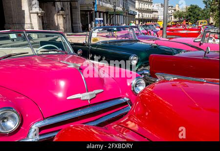 L'Avana, Cuba 16 gennaio 2020: Turisti felici che si godono una corsa in taxi in famosi taxi cubani d'epoca lungo Paseo del Prado, El Capitolio e il centro storico di Havana durante il loro tempo di vacanza Foto Stock