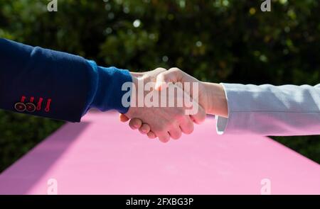 Donna d'affari che fa stretta di mano con il cliente Foto Stock