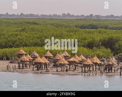 Granai su un'isola conchiglia tra alberi di mangrovie, Joal-Fadiouth, Senegal Africa Foto Stock