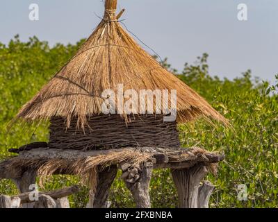 Primo piano di un piccolo granaio con un tetto spiovente fatto di erba secca su un'isola tra alberi di mangrovie, Joal-Fadiouth, Senegal Africa Foto Stock