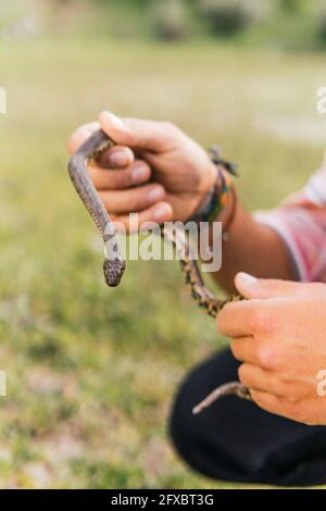 Giovane uomo che tiene serpente vipera in foresta Foto Stock