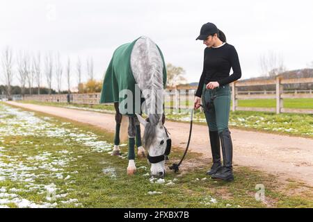 Giovane donna che pascolano cavallo sull'erba vicino al sentiero Foto Stock