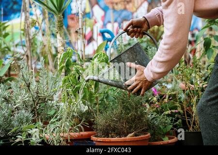 Uomo impianti di irrigazione in giardino Foto Stock