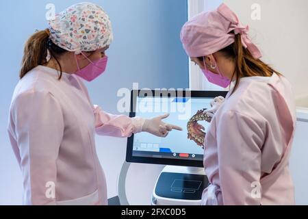 Dentisti femminili in uniforme che esaminano l'immagine digitale dei denti sullo schermo presso la clinica Foto Stock