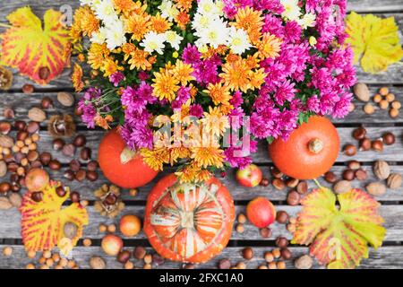 Vendemmia autunnale con bouquet di crisantemi in fiore, vari tipi di frutta a guscio, mele, zucca, squash e foglie d'uva Foto Stock