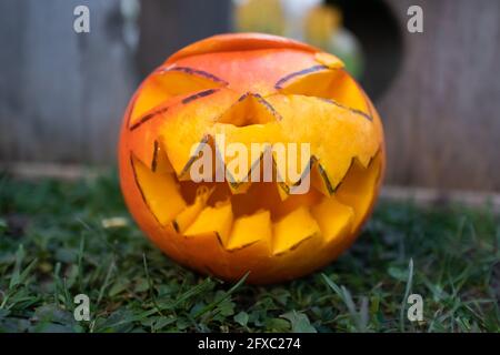 Angolo di terra shot. Primo piano delle mani di un bambino mettendo in erba una zucca scolpita, jack-o-lanterna, davanti alla fotocamera Foto Stock
