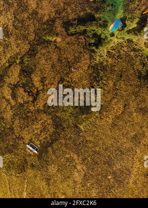 Vista del drone del kitesurf della persona nella barriera corallina trasparente marrone del Mare delle Filippine Foto Stock