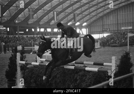 Jumping Amsterdam, gara di salto in yacht per il Gran premio dei Paesi Bassi, [neg. no 19] Maathuis (Ned), 28 ottobre 1962, equestre, sport, I Paesi Bassi, foto agenzia stampa del XX secolo, notizie da ricordare, documentario, fotografia storica 1945-1990, storie visive, Storia umana del XX secolo, che cattura momenti nel tempo Foto Stock