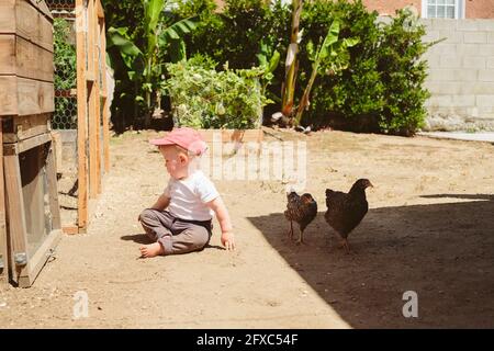 Bambino con polli seduti vicino alla coop nel cortile posteriore durante la giornata di sole Foto Stock