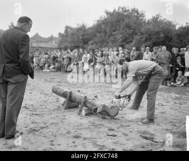 Concorsi nazionali di taglio alberi, 23 agosto 1962, alberi, concorsi, Sawing, Paesi Bassi, foto agenzia stampa del XX secolo, notizie da ricordare, documentario, fotografia storica 1945-1990, storie visive, Storia umana del XX secolo, che cattura momenti nel tempo Foto Stock