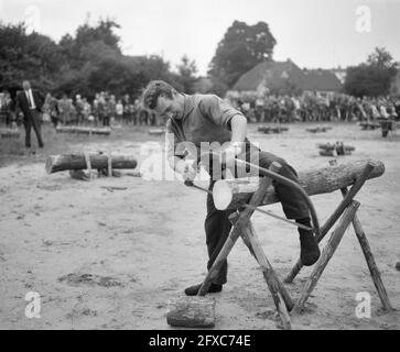 Gare nazionali di taglio di alberi a Ede sull'uomo vecchio stile, 23 agosto 1962, alberi, concorsi, Sawing, Paesi Bassi, foto agenzia stampa del XX secolo, notizie da ricordare, documentario, fotografia storica 1945-1990, storie visive, Storia umana del XX secolo, che cattura momenti nel tempo Foto Stock