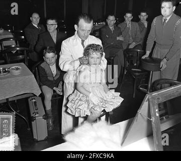 Concorso nazionale di parrucchieri Amsterdam, modelli giovanili, 28 novembre 1954, MODELLI, I Paesi Bassi, foto agenzia stampa del XX secolo, notizie da ricordare, documentario, fotografia storica 1945-1990, storie visive, Storia umana del XX secolo, che cattura momenti nel tempo Foto Stock