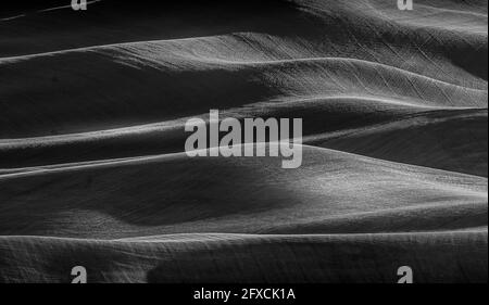 Vista sulle splendide colline ondulate della fattoria con luci spettacolari Presente in bianco e nero Foto Stock