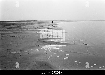 Rassegna stampa Southern Flevoland, numero 21 tree stump from anticamente epoche on bottom of bond Land, febbraio 13, 1968, Paesi Bassi, 20 ° secolo agenzia stampa foto, notizie da ricordare, documentario, fotografia storica 1945-1990, storie visive, Storia umana del XX secolo, che cattura momenti nel tempo Foto Stock