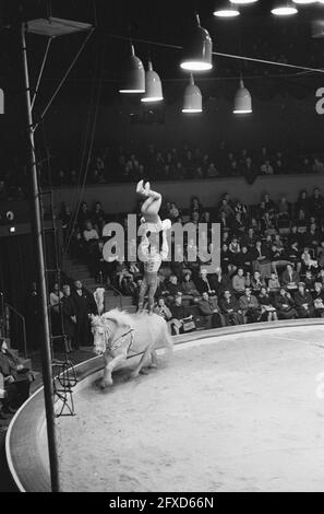 Premiere circus Althof in Carre, 20 dicembre 1962, circuses, Paesi Bassi, foto agenzia stampa del xx secolo, notizie da ricordare, documentario, fotografia storica 1945-1990, storie visive, Storia umana del XX secolo, che cattura momenti nel tempo Foto Stock