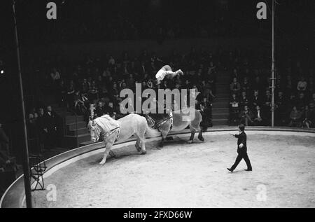 Prima circo Althof a Carre, i fratelli Enders sui cavalli, 20 dicembre 1962, circuses, Paesi Bassi, foto agenzia stampa del xx secolo, notizie da ricordare, documentario, fotografia storica 1945-1990, storie visive, Storia umana del XX secolo, che cattura momenti nel tempo Foto Stock