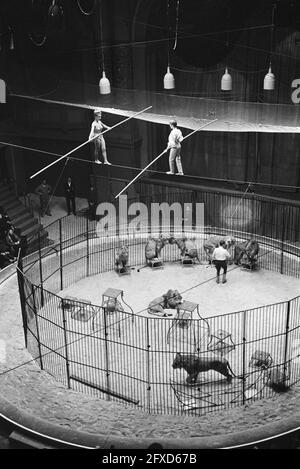 Premiere circus Althof in Carre, 20 dicembre 1962, circuses, Paesi Bassi, foto agenzia stampa del xx secolo, notizie da ricordare, documentario, fotografia storica 1945-1990, storie visive, Storia umana del XX secolo, che cattura momenti nel tempo Foto Stock