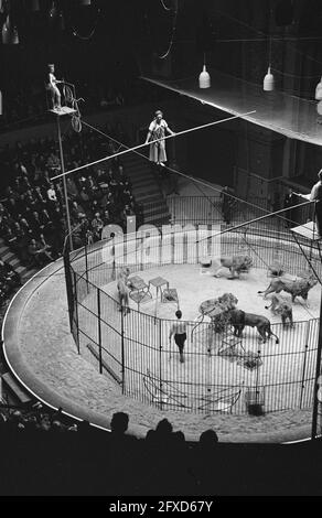 Premiere circus Althof in Carre, 20 dicembre 1962, circuses, Paesi Bassi, foto agenzia stampa del xx secolo, notizie da ricordare, documentario, fotografia storica 1945-1990, storie visive, Storia umana del XX secolo, che cattura momenti nel tempo Foto Stock