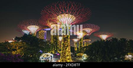 Vista panoramica dei Gardens by the Bay Supertree Grove durante lo spettacolo di luci notturne dal basso verso l'alto, Singapore. Foto Stock
