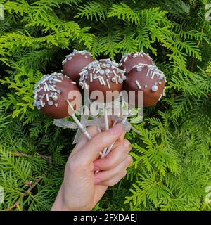 Cinque torta al cioccolato schioccano in mano bianca sulla tonja verde sfondo Foto Stock